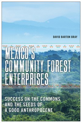 bokomslag Mexico's Community Forest Enterprises