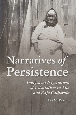 Narratives of Persistence 1