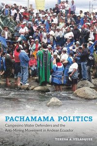 bokomslag Pachamama Politics