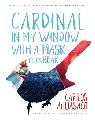 Cardinal in My Window with a Mask on Its Beak 1