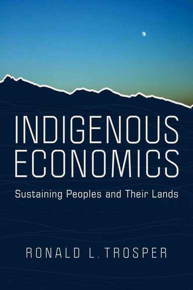 bokomslag Indigenous Economics