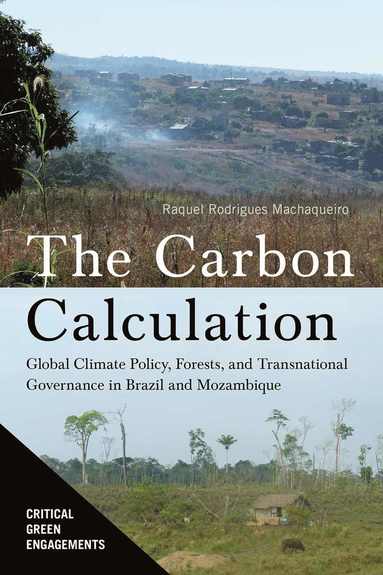 bokomslag Carbon Calculation