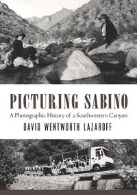 bokomslag Picturing Sabino