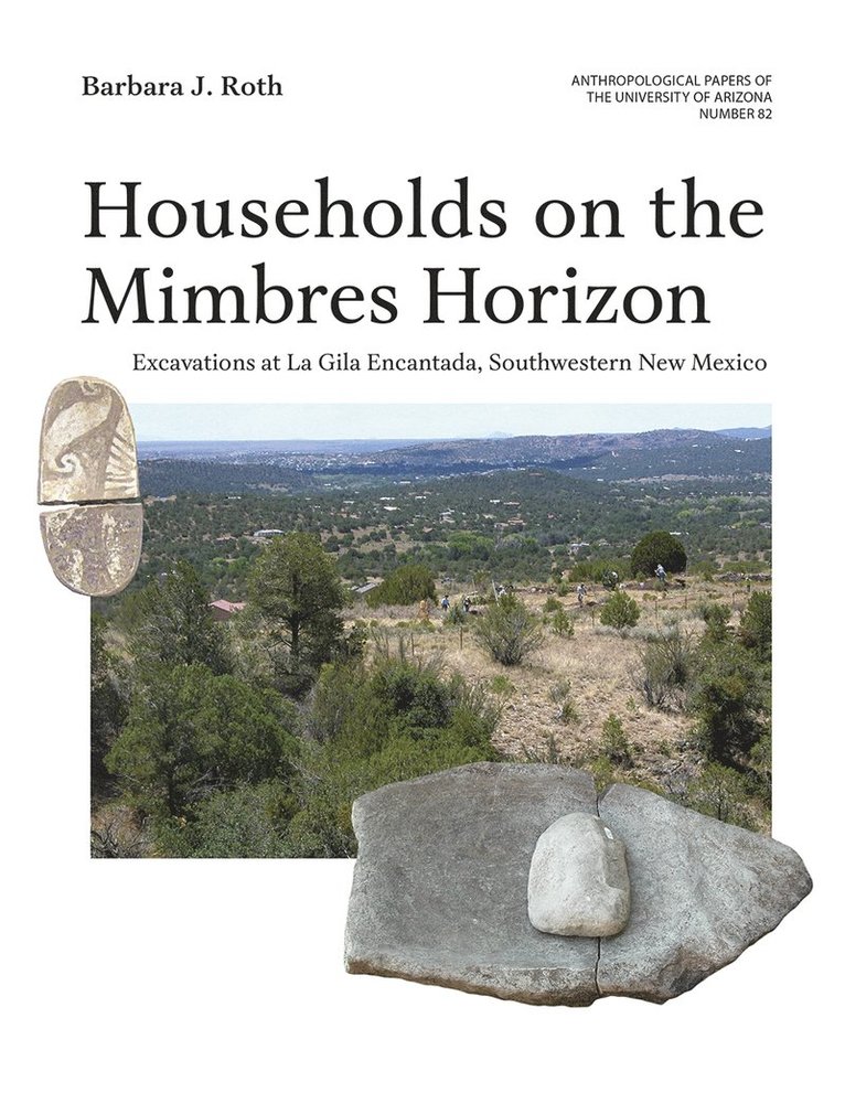 Barbara J. Roth, Barbara J Roth - Households on the Mimbres Horizon, Volume 82, Häftad