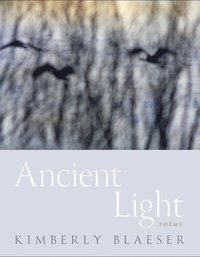 bokomslag Ancient Light