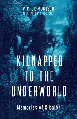 Kidnapped to the Underworld Volume 95 1