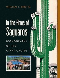 bokomslag In the Arms of Saguaros