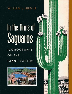 In the Arms of Saguaros 1