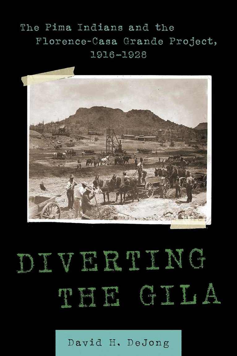 David H. DeJong, David H. Dejong, David H Dejong - Diverting the Gila, Häftad