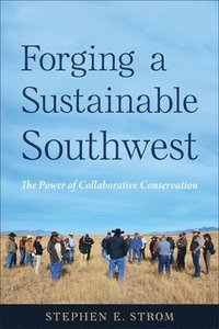bokomslag Forging a Sustainable Southwest