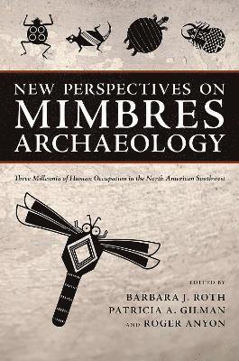 New Perspectives on Mimbres Archaeology 1