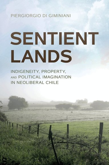 Piergiorgio Di Giminiani - Sentient Lands, Häftad