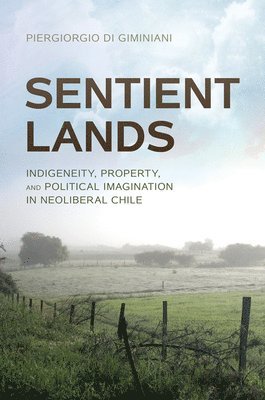 Sentient Lands 1