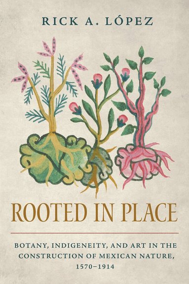Rick A. López - Rooted in Place, Häftad