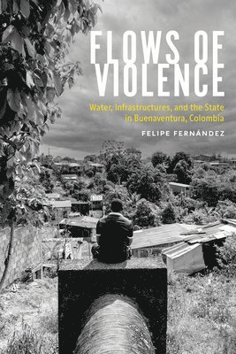 bokomslag Flows of Violence