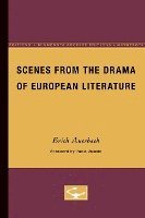 bokomslag Scenes From The Drama Of European Literature