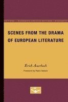bokomslag Scenes from the Drama of European Literature