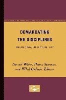 bokomslag Demarcating The Disciplines