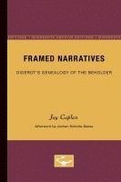 bokomslag Framed Narratives