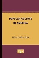bokomslag Popular Culture In America