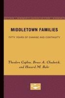 bokomslag Middletown Families: Fifty Years of Change and Continuity