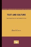 bokomslag Text and Culture: the Politics of Interpretation