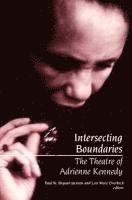 bokomslag Intersecting Boundaries