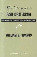 bokomslag Heidegger and Criticism