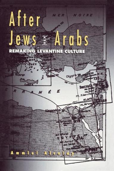 Ammiel Alcalay - After Jews and Arabs, Häftad