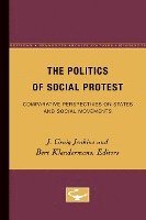 Politics Of Social Protest 1