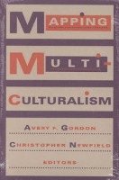 bokomslag Mapping Multiculturalism