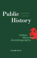 Public History, Private Stories 1