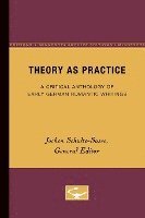 Theory as Practice 1