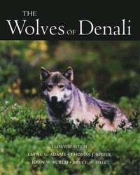 bokomslag Wolves Of Denali