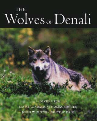 bokomslag Wolves of Denali