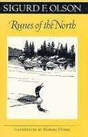bokomslag Runes of the North