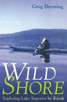 bokomslag Wild Shore