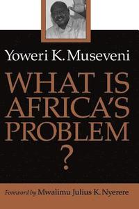 bokomslag What Is Africas Problem