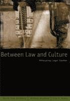 David Theo Goldberg - Between Law and Culture, Häftad