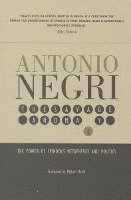 Antonio Negri - Savage Anomaly: The Power of Spinoza's Metaphysics and Politics, Häftad