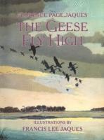 bokomslag Geese Fly High