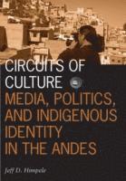 Circuits of Culture 1