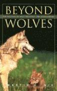 bokomslag Beyond Wolves