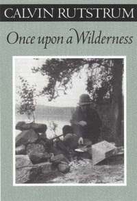 bokomslag Once Upon A Wilderness