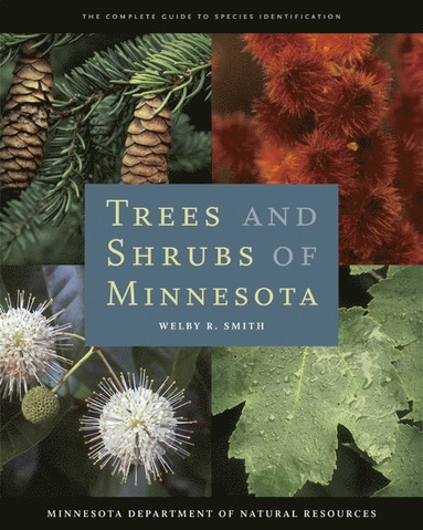 bokomslag Trees and Shrubs of Minnesota