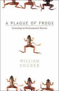 bokomslag Plague Of Frogs