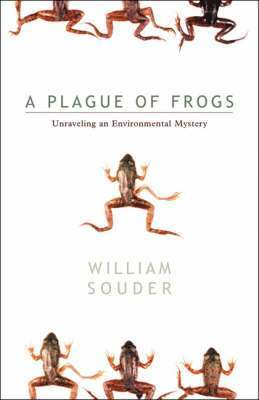 bokomslag Plague Of Frogs