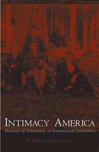 bokomslag Intimacy in America