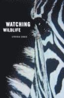 Watching Wildlife 1