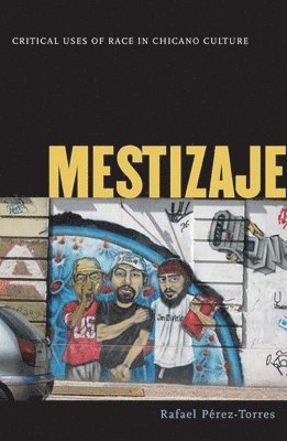 Mestizaje 1